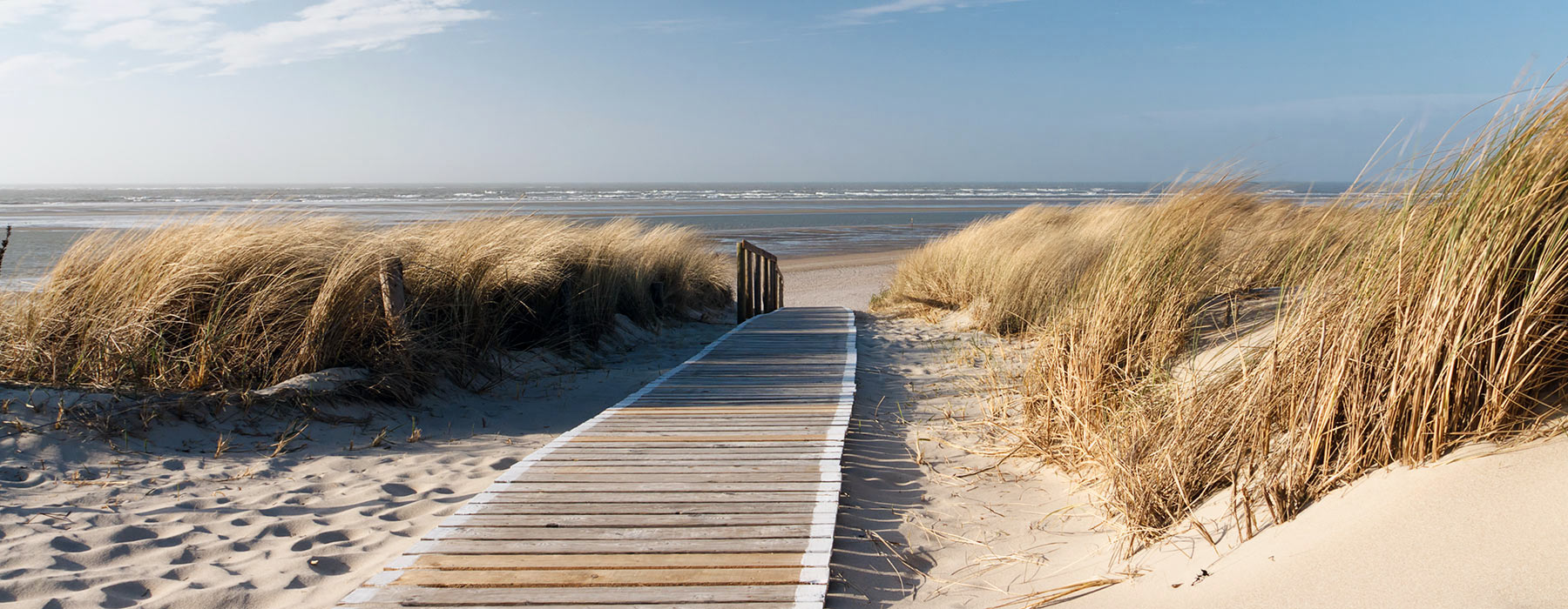 Carefully Crafted Design